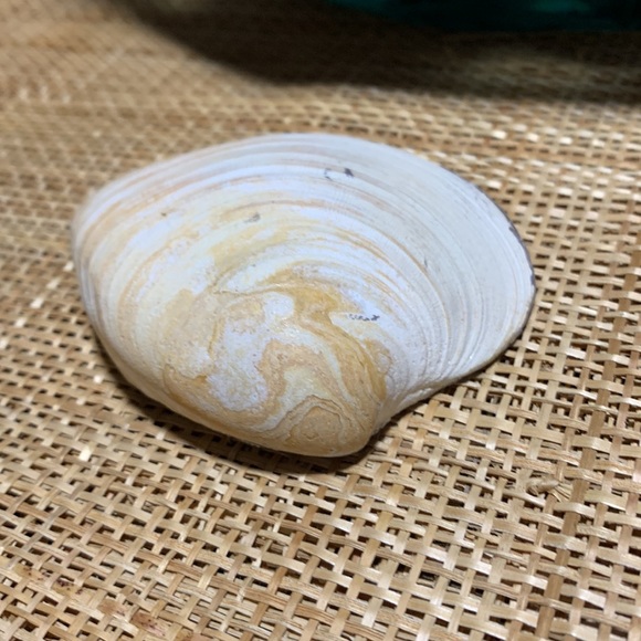 Floral Designed Decoupage Trinket Dish - Picture 8 of 9